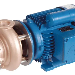 Solange Der Vorrat Reicht Lahme RG-Pumpe 1.1 kW 230 V WS mit Saugseite 2" AG