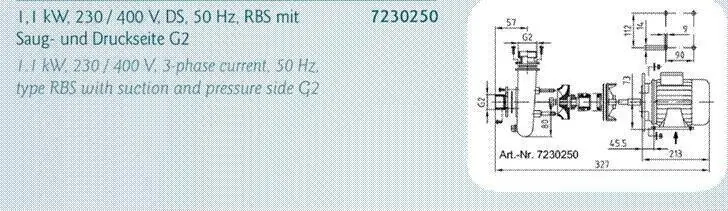 Lahme RG-Pumpe 1.1 kW 230 /400 V DS mit Saugseite 2" AG Geprüft