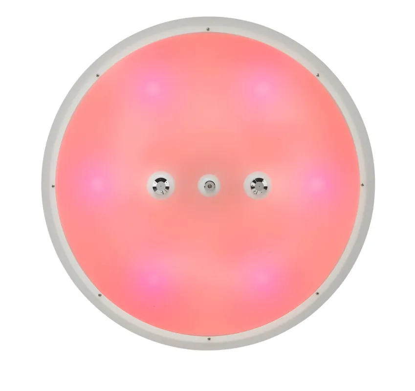 WDT Erlebnisdusche Funktionsplatte hinterleuchtet d800mm 1,0 cm Direkt Vom Hersteller