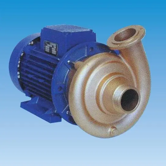 Gegenschwimm und Massageanlage PUMPE GSB 40 230 V 1,5 - 2,2 kW Sonderaktion