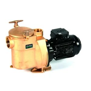 Sta-Rite 5BR Bronzepumpe Schwimmbad Pumpe Rabatt