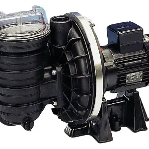 STA-RITE 5P2RC3 Poolpumpe – selbstansaugende Filterpumpe mit 8 m³/h Aktuell