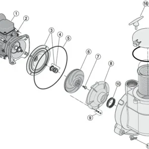Sofort Bestellen Sta-Rite Umkehrleitrad Ring für Brocepumpe 5BRB + C