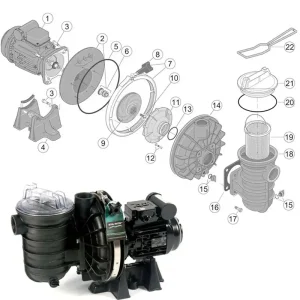 Jetzt Bestellen Pentair Sta-Rite Kondensator C1 Duraglas I 5P2R B18116