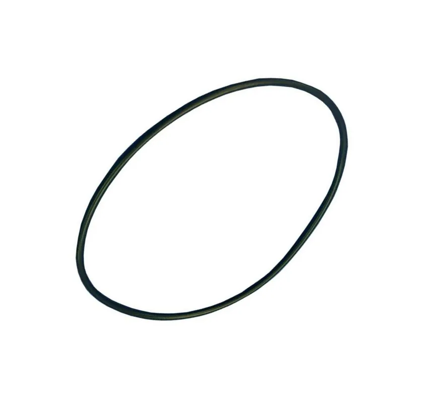 Speck BADU O-Ring für Gehäuse Speck Bettar Teile-Nr 412.2 Neue Ware
