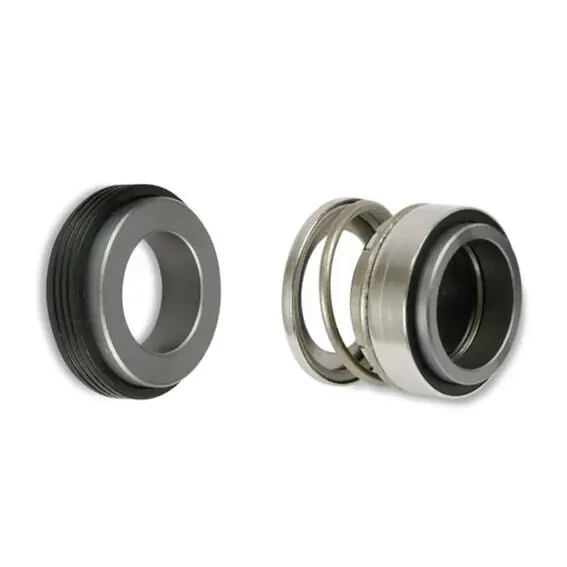 Pentair Intelliflo SW5P6R-VSD Gleitringdichtung für Sta-Rite Pumpe Neue Ware