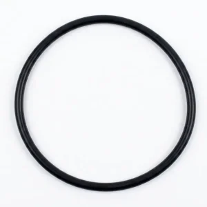 Echt Ersatzteil O-Ring für Pumpendeckel Astralpool Magic 4-11