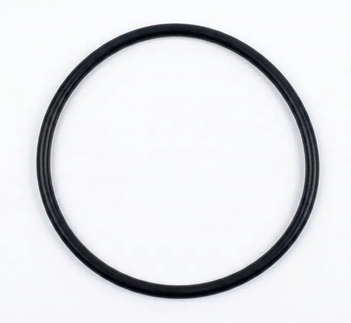 Echt Ersatzteil O-Ring für Pumpendeckel Astralpool Magic 4-11
