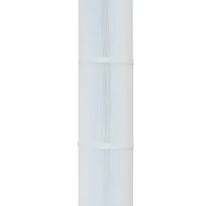 Nur Für Kurze Zeit Whirlpool-Filter CS100