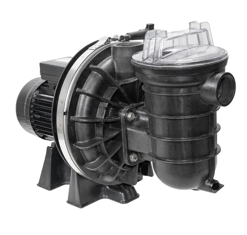 Pentair - LA STA-RITE 5P2R Kunststoffpumpe P-STR-071 / 230 V / 0,55 kW / 12 m³/h Neuheit