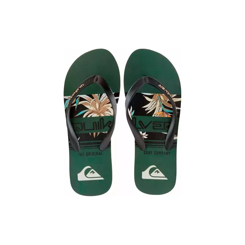 Highlight Flip-Flops Von Quiksilver Java art Green