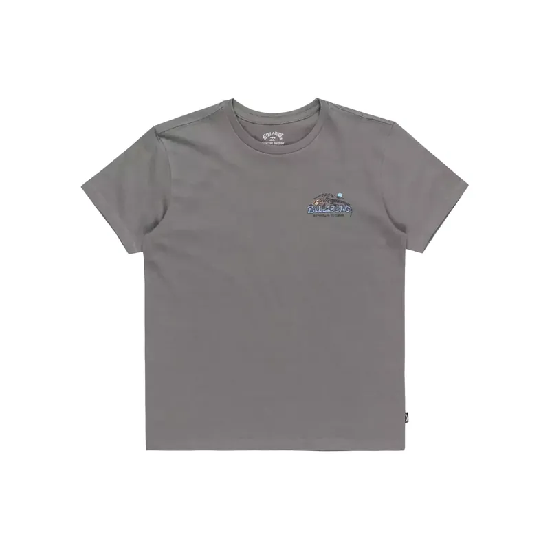 T-Shirt Billabong Lizard Mountain Slate Grey Günstig