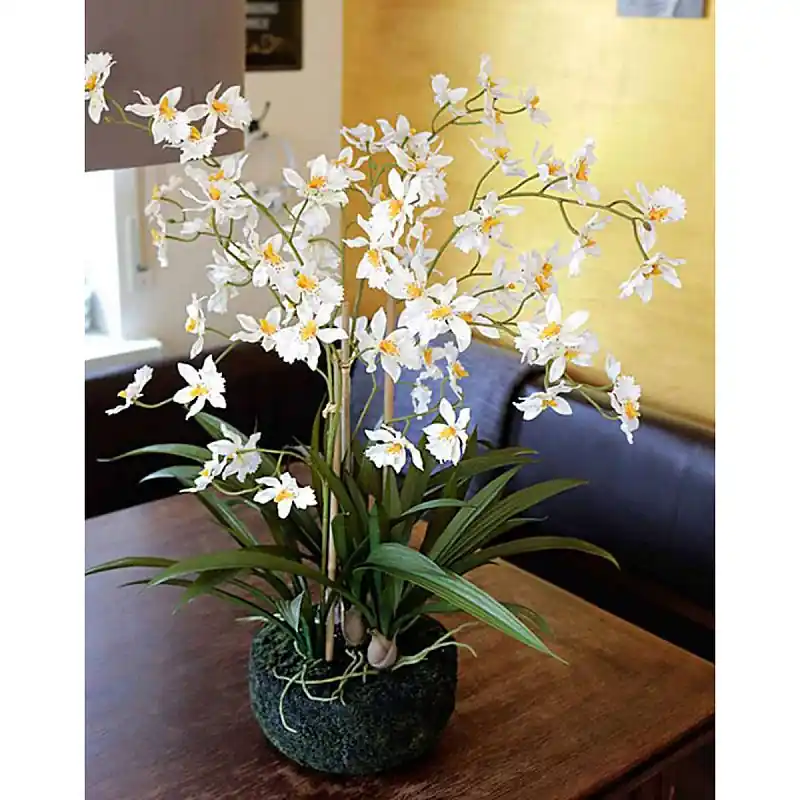 Preiswert Künstliche Orchidee Oncidium in 'Erde', 2-fach, 66 cm, creme-weiß