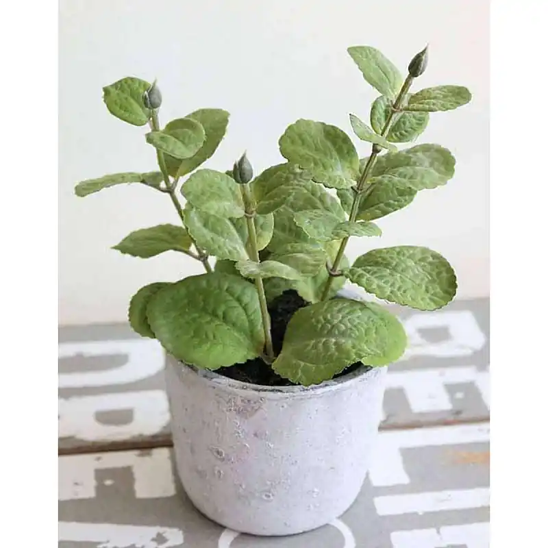 Top-Seller Künstliche Minze, getopft, 19 cm, grün