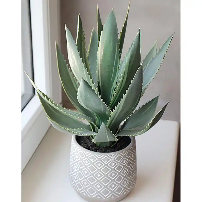 Preisreduziert Künstliche Aloe im Dekotopf, 33 cm, grün