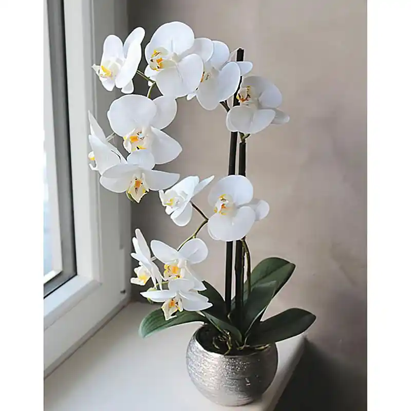 Künstliche Orchidee Phalaenopsis, 2-fach, getopft, 45 cm, Real Touch, creme-weiß Schneller Versand