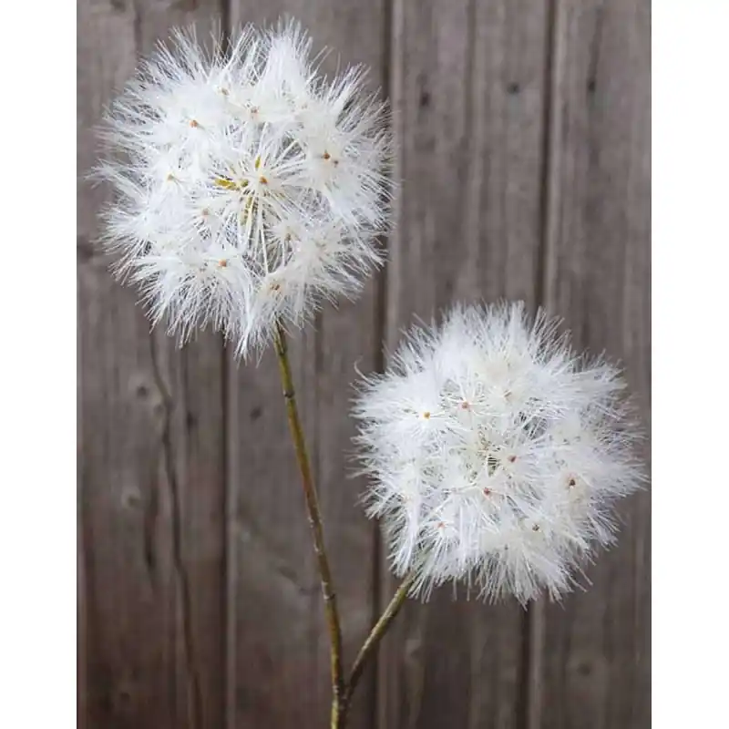 Künstliche Pusteblume, 2-fach, 85 cm, creme-weiß Sonderangebot