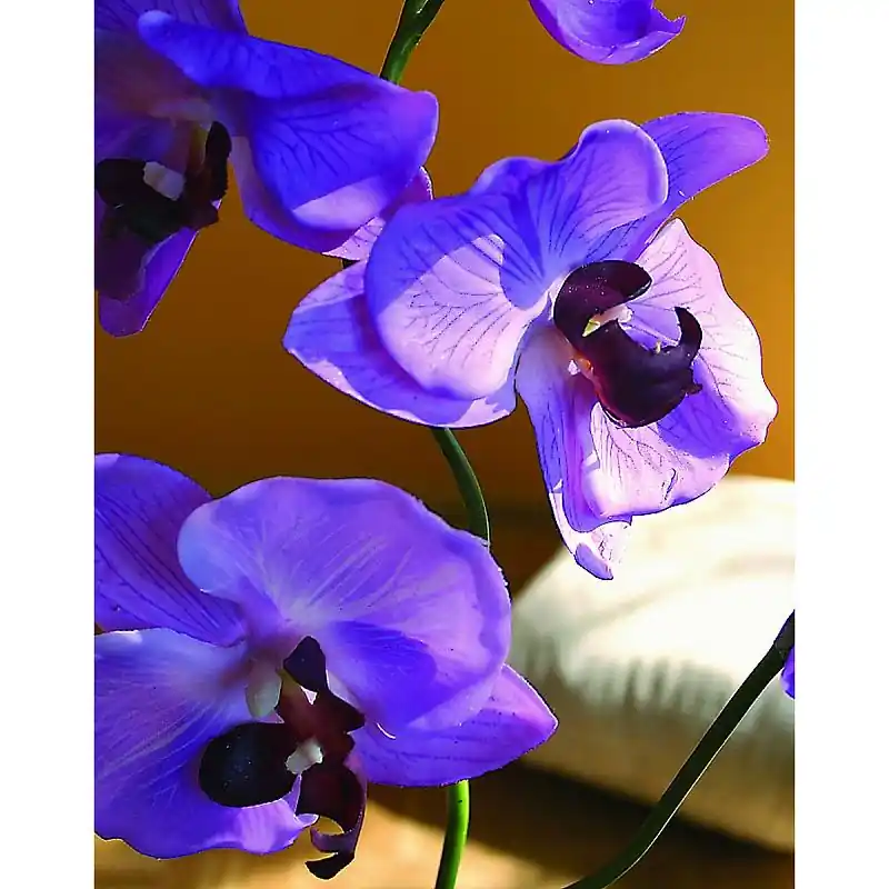 Super-Preis Künstliche Orchidee Phalaenopsis, 3-fach, getopft, 72 cm, Real Touch, hellviolett