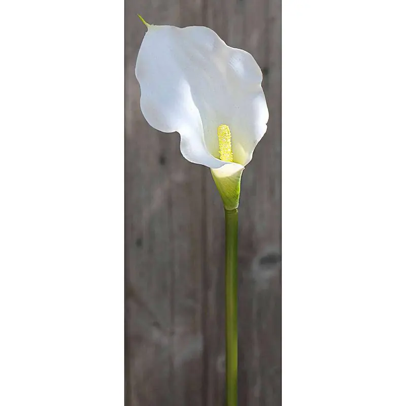 Künstliche Calla, 54 cm, Real Touch, weiß Jetzt Bestellen