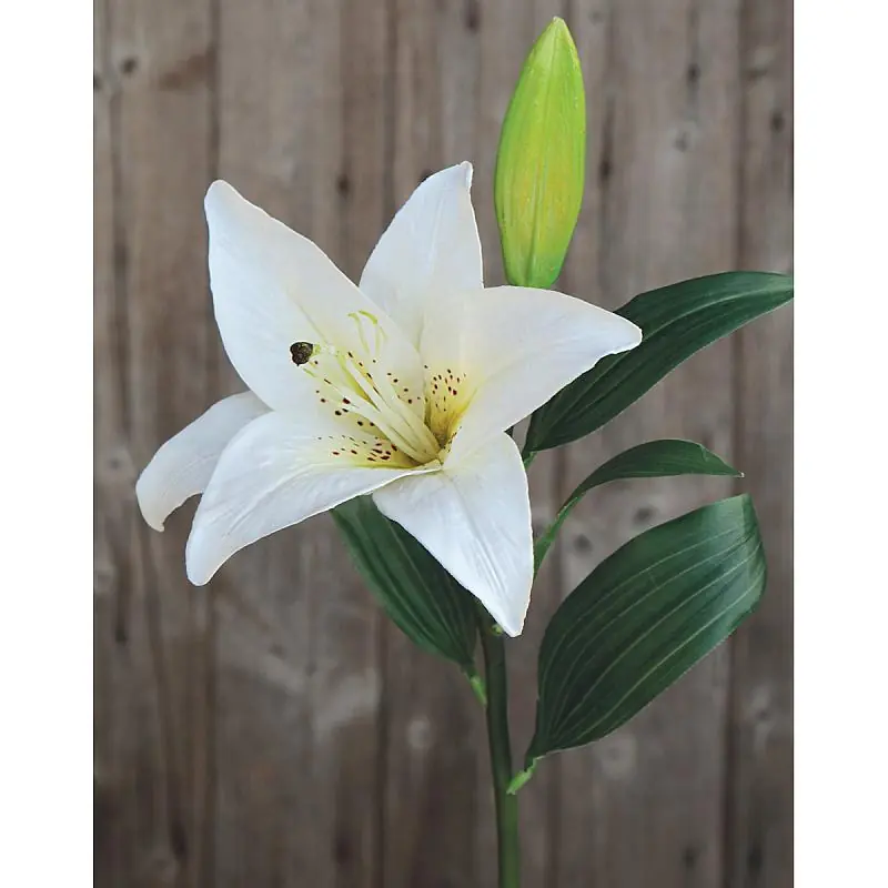 Künstliche Lilie, 45 cm, Real Touch, weiß Nur Für Kurze Zeit