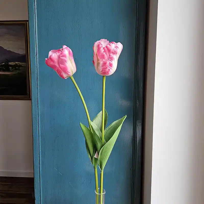 Geprüft Künstliche Tulpe Deluxe, 65 cm, Real Touch, rosa-grün