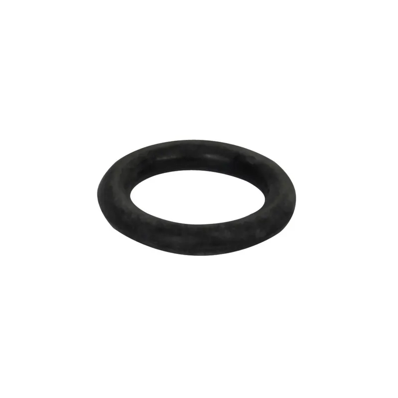 Bestway® Ersatzteil O-Ring (Luftablassventil) für ausgewählte Flowclear™ Filterpumpen (2017-2022) Billig