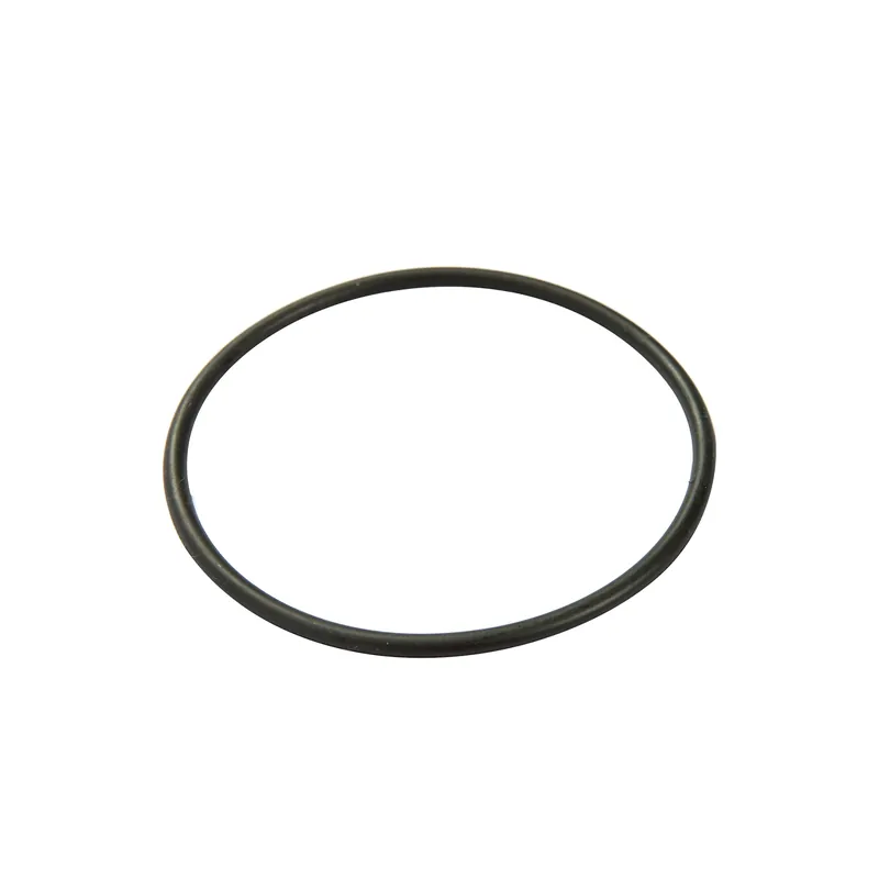 Bestway® Ersatzteil Filterdeckel-Dichtung für Flowclear™ Filterpumpe (58381) Highlight