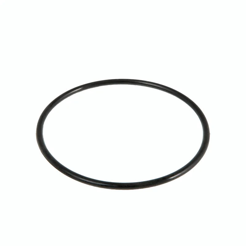 Versand Am Gleichen Tag Bestway® Ersatzteil Filtersieb-Dichtung Flowclear™ Sandfilteranlagen (ausgenommen 2.006 / 3.028 l/h)