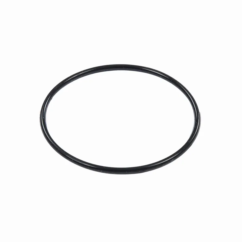 Online Kaufen Bestway® Ersatzteil Filtersieb-Dichtung für ausgewählte Sandfilteranlagen (58397 / 58634 / 58515)