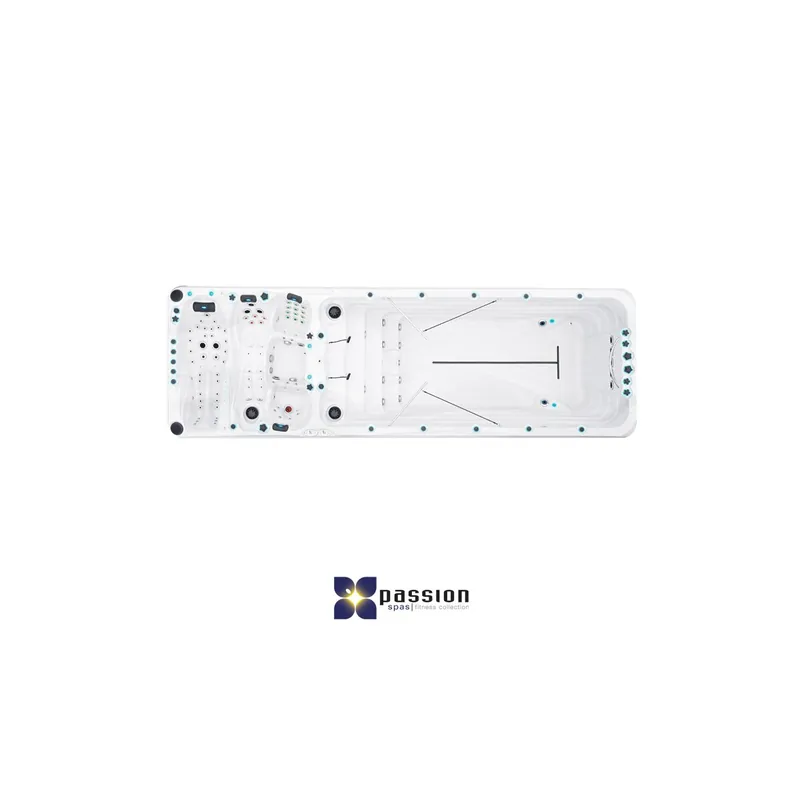 Meistverkauft Passion Spas by Fonteyn Whirlpool SwimSpa Energy Deep | 720 x 228 x 152