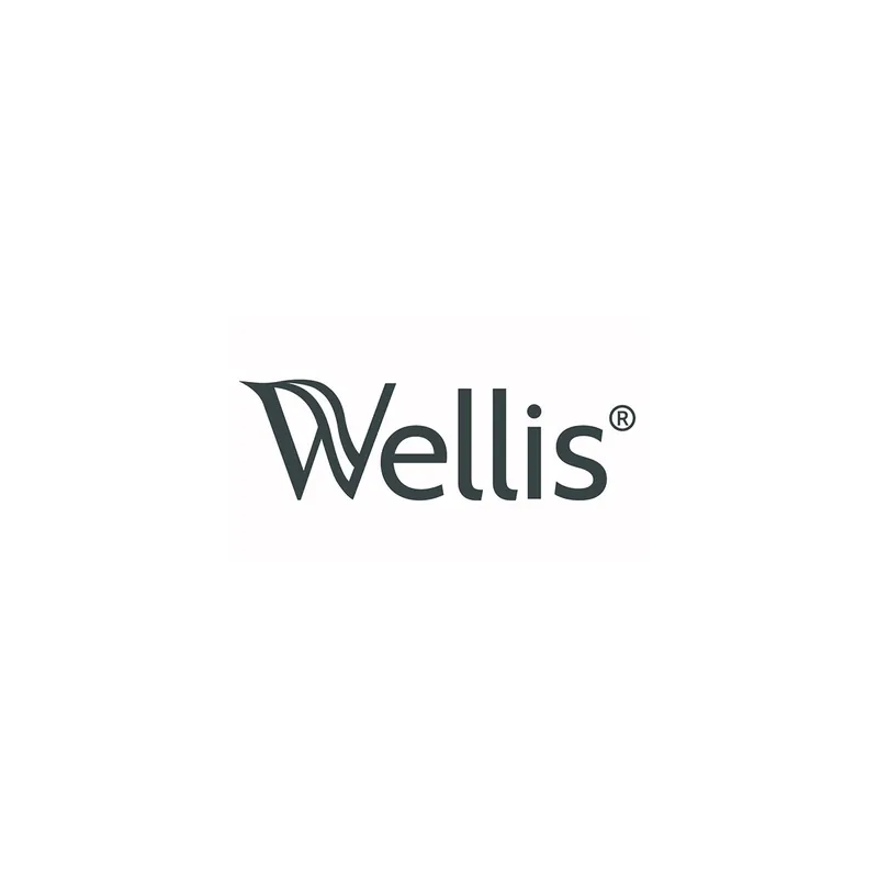 WELLIS Pillow 42x17 grey (ROB) light grey Günstig