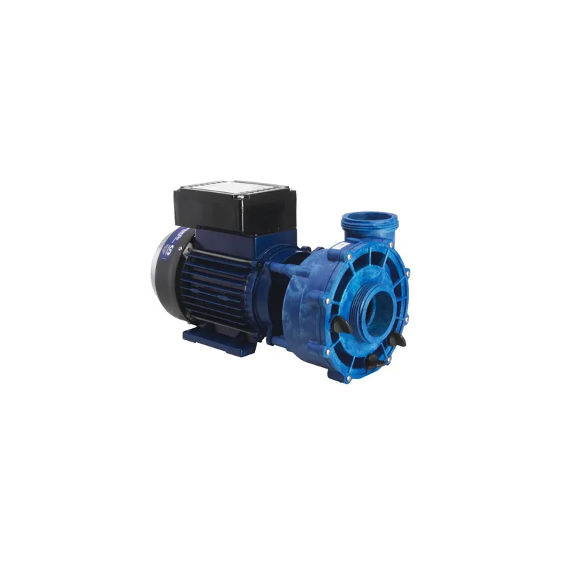 Aqua-Flo Flo-Master XP2e einstufige Pumpe 2,2 kW Neu Im Sortiment