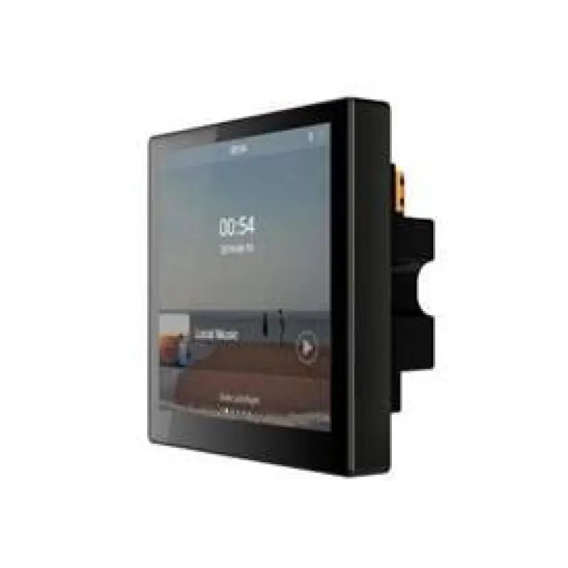 Top-Preis Smart Home on Wall Musikverstärker DM839