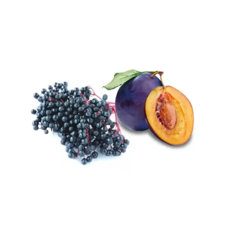 HARVIA Saunaduftkonzentrat Holunderbeeren und Pflaumen 1 l Angebot