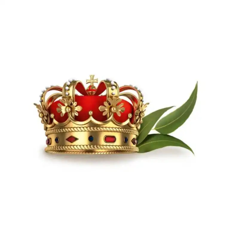HARVIA Saunaduftkonzentrat Royal Eucament 1 l Jetzt Bestellen