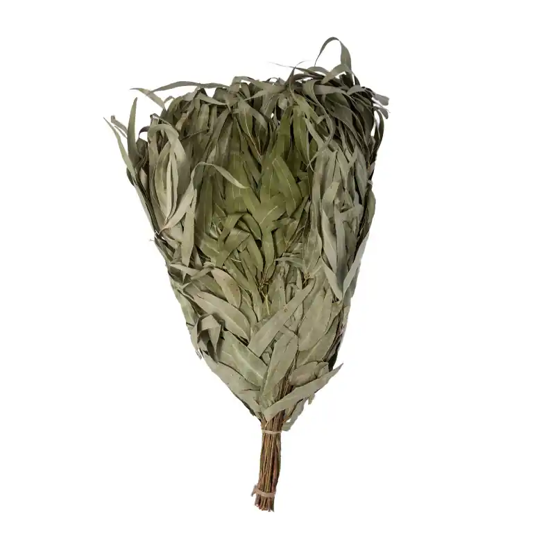 Eukalyptus-Saunabesen Online Kaufen