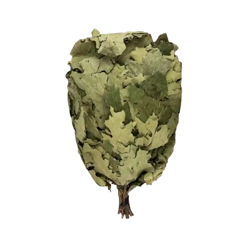 Kanadischer Eichenbesen Must-Have