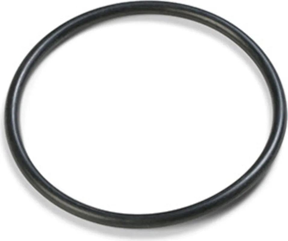 Intex Ersatzteile Dichtungsringschlauch Top-Angebot