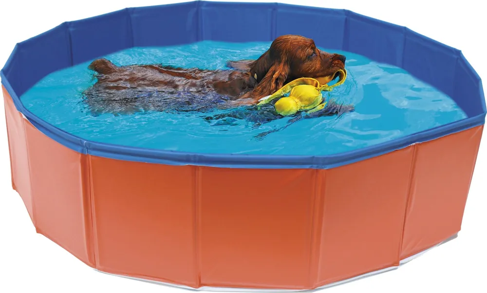 Croci Hunde Pool, 120x30 cm Ausverkauf