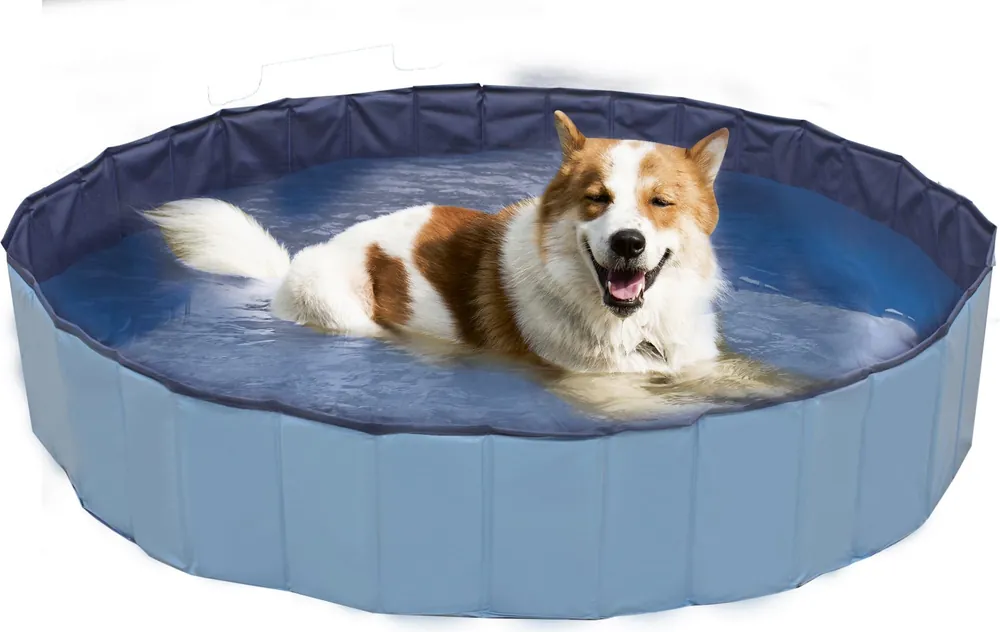 Croci Hunde Pool Explorer, 160x30 cm Letzte Chance