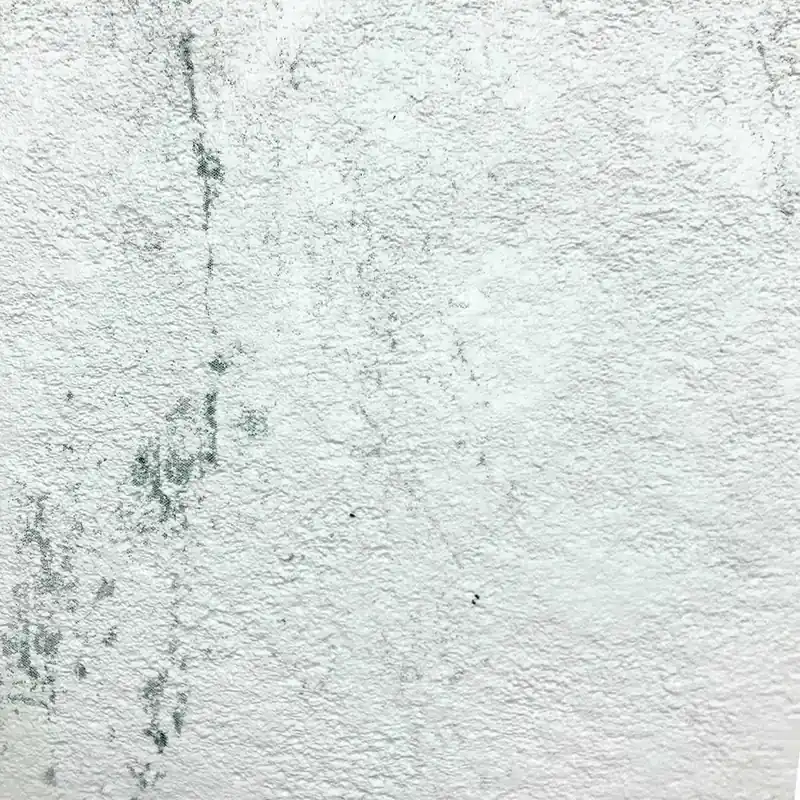 Poolfolie deluxe Stoneflex Nur Für Kurze Zeit