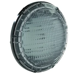 Markenware Pentair Intellibrite PAR 56 LED Ersatzleuchtmittel