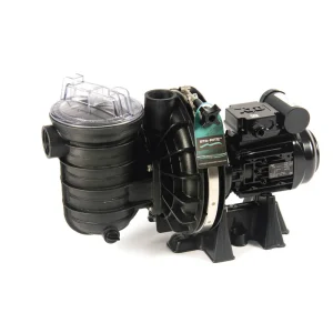 Schneller Versand 5P2R Sta-Rite Poolpumpe