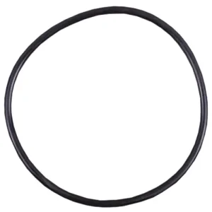 O-Ring für Astral Chlordosierschleuse Nur Heute