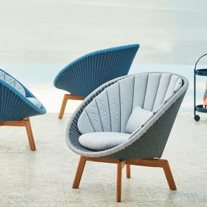 Designer Loungesessel Peacock, Farbe wählbar Heißes Angebot