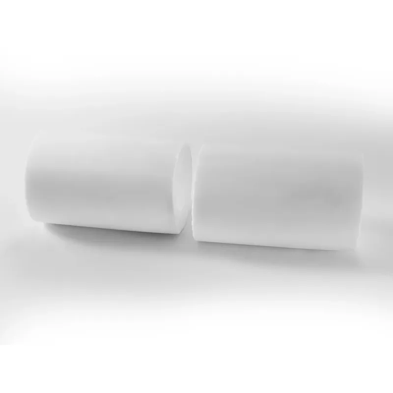 Maytronics Canebo Bürsten Set 145mm (2 Stk.) | Dolphin F50 & F60 Markenware