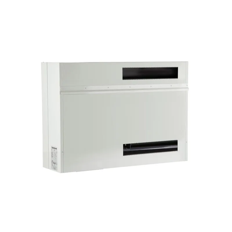 Dantherm Luftentfeuchter - Hinterwandgerät CDP 50 T Preis Gesenkt